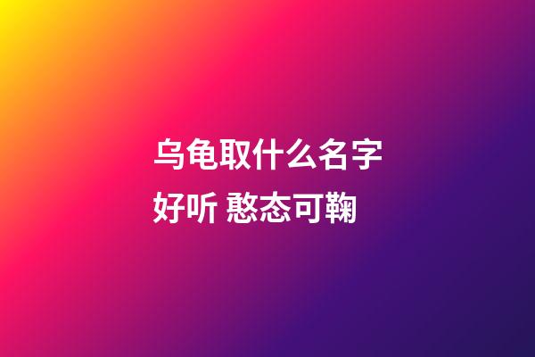乌龟取什么名字好听 憨态可鞠
